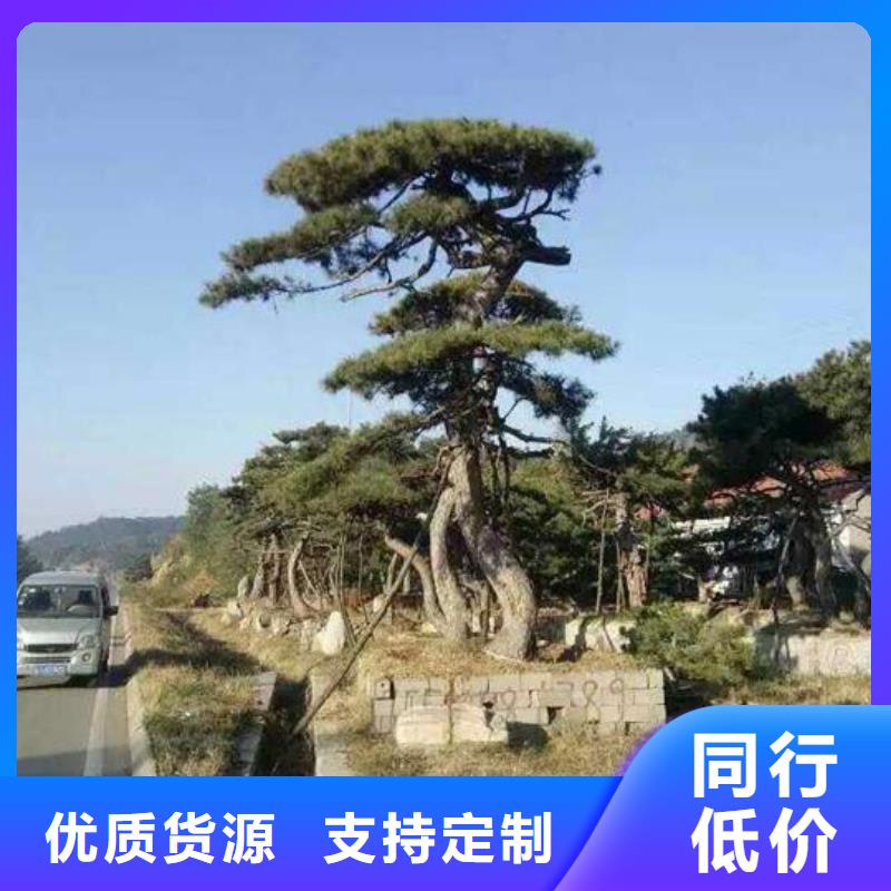 造型松原厂制造本地货源