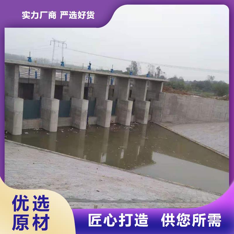 水电站铸铁闸门服务贴心本地供应商