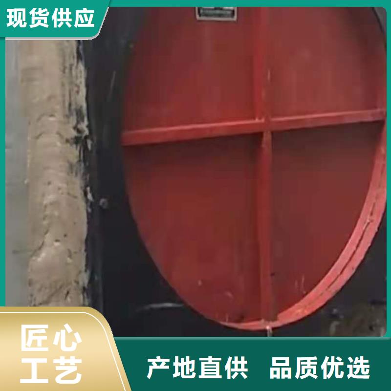 双向止水闸门支持定制支持非标定制