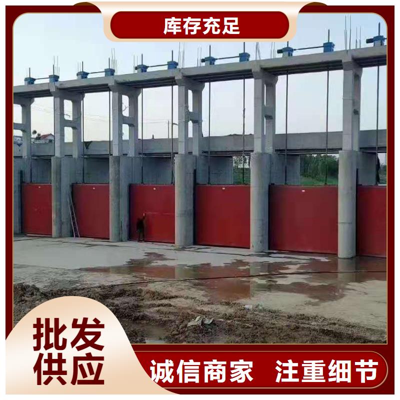铸铁闸门,螺杆启闭机严选好货当地公司