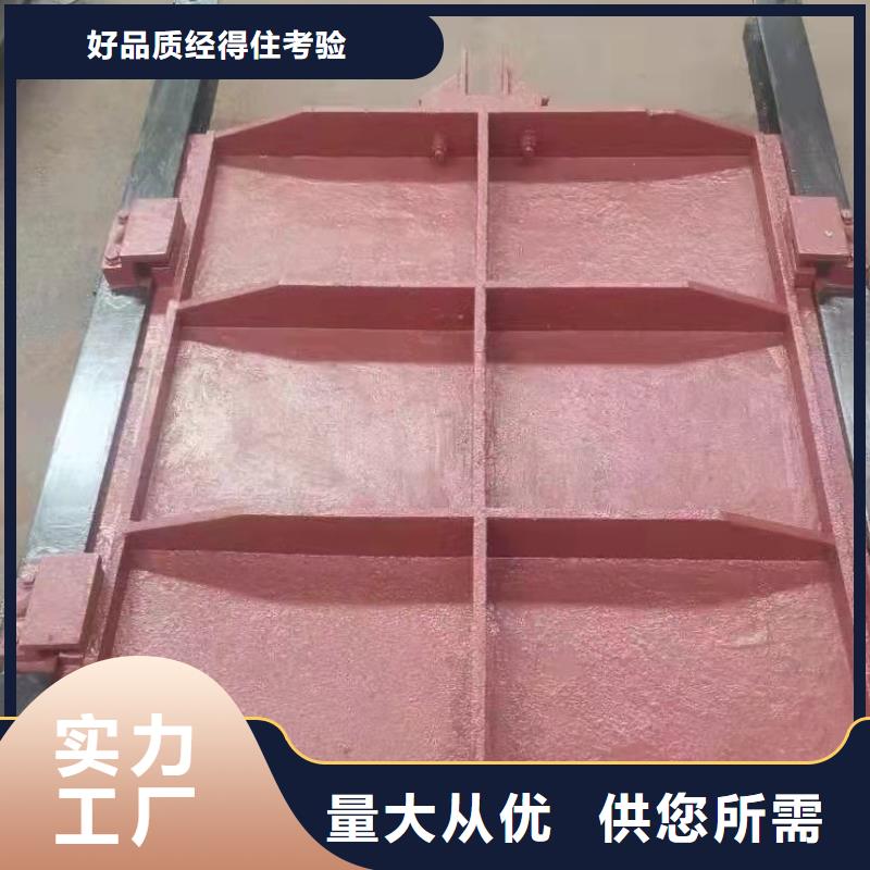 扇形闸门免费指导安装优质原料
