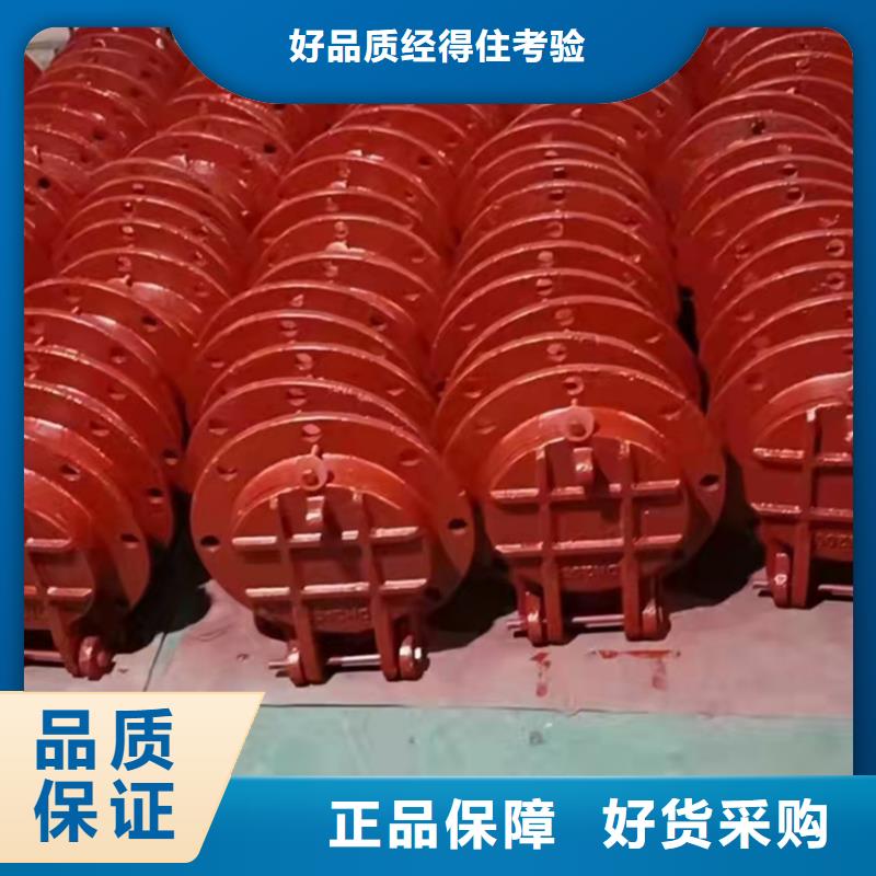 双向止水闸门免费提供咨询同城生产厂家