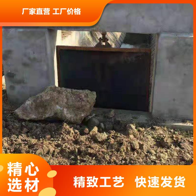 水电站铸铁闸门工厂直销服务始终如一