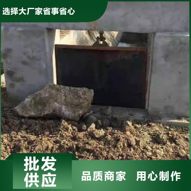 手提铸铁闸门工厂直销适用场景