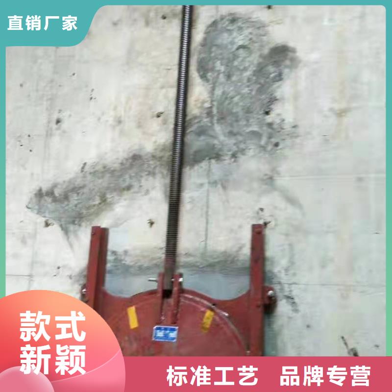 铸铁闸门污水除污机好产品放心购本地经销商