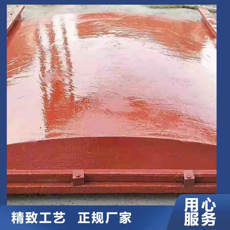 扇形闸门欢迎电询设计合理