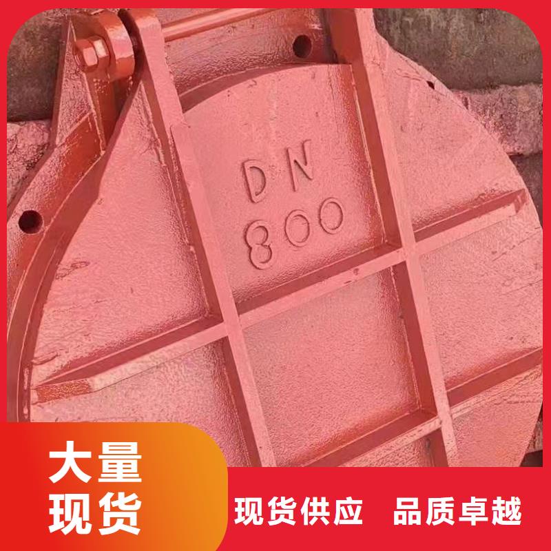球墨铸铁闸门源头生产厂家当地服务商