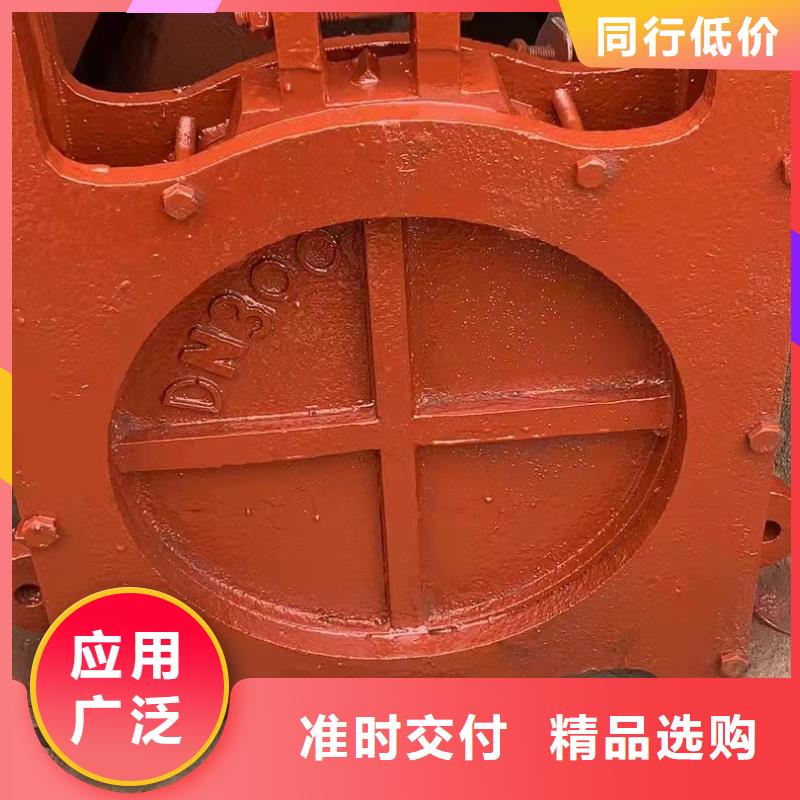 铸铁拍门源头生产厂家一手价格