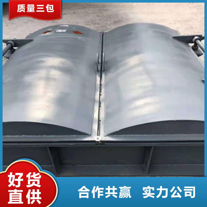 钢坝闸门价格低本地公司