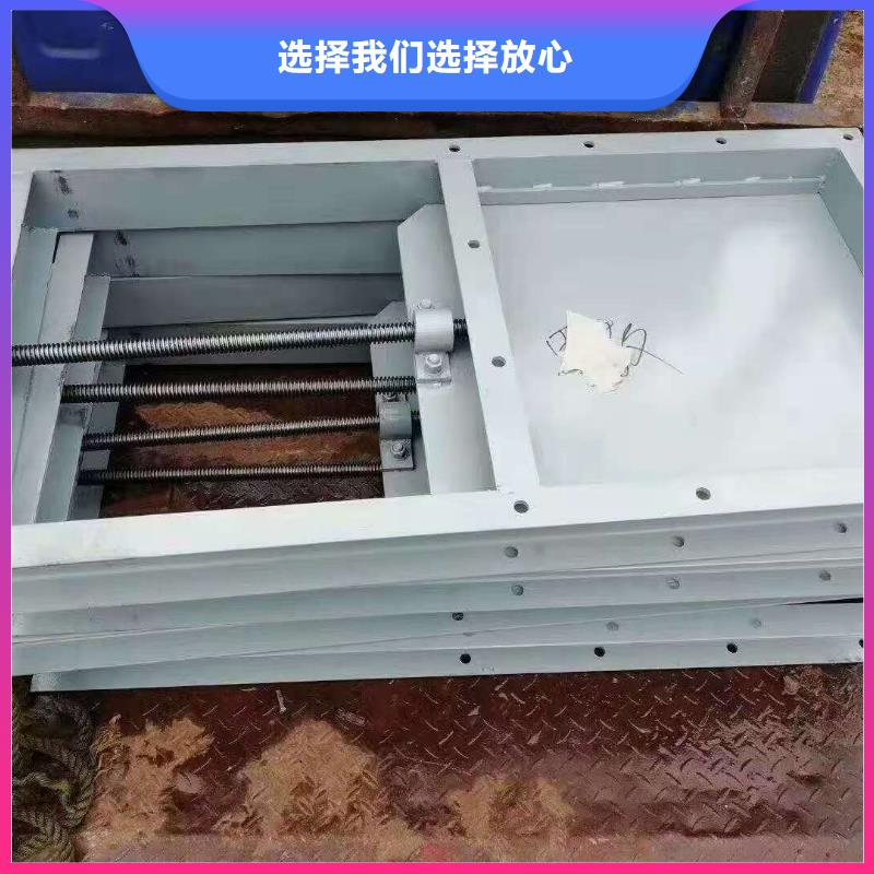 钢制拍门生产厂家随到随提