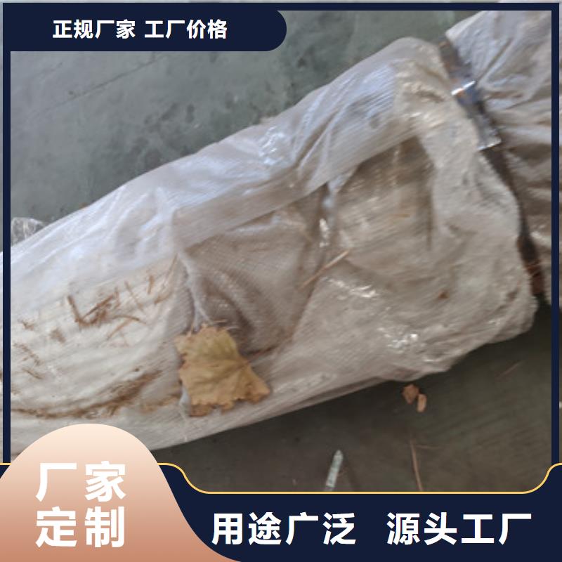 公园不锈钢隔离护栏加工定做质量层层把关