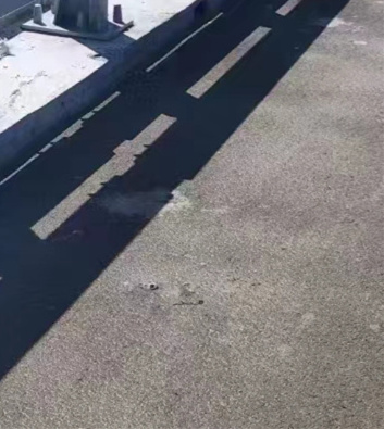桥梁护栏不用桥梁钢护栏厂精心打造当地公司