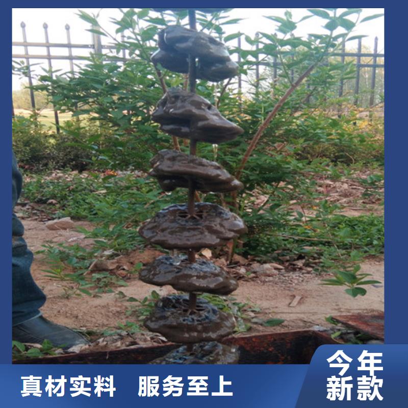 【污水处理】一体化污水处理设备多种规格可选厂家直发
