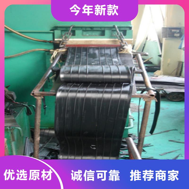 橡胶止水带【橡胶止水带】品质信得过当地服务商