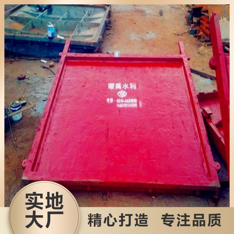 铸铁闸门,球墨铸铁闸门常年供应质量安心