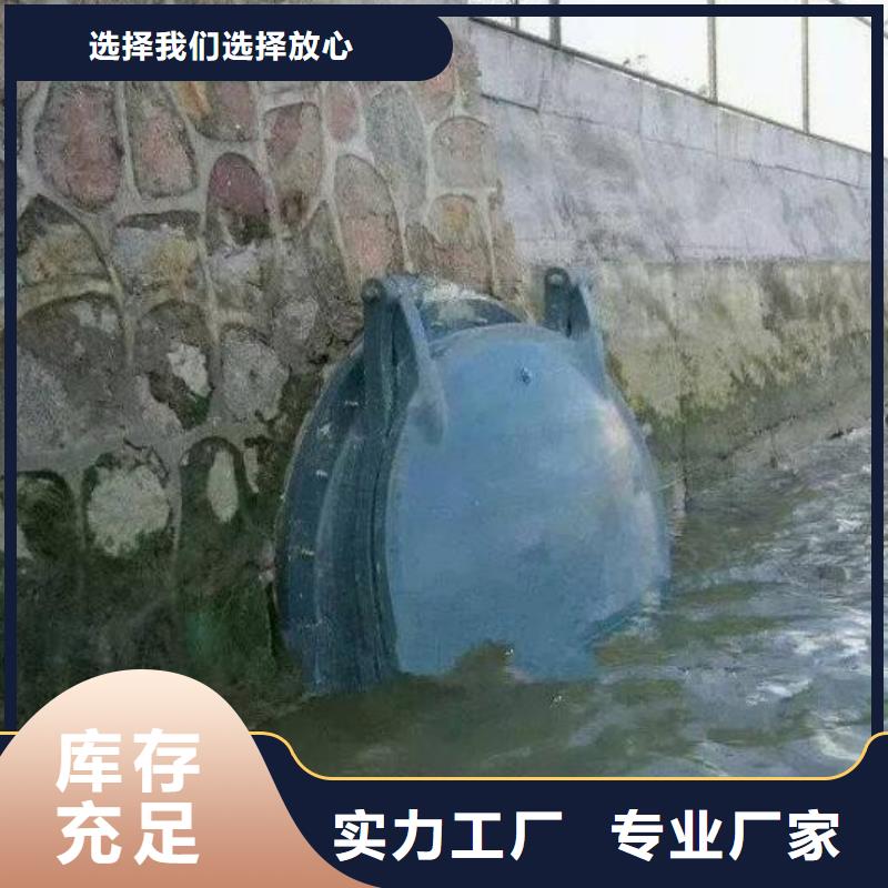 拍门卷扬启闭机细节决定品质品质可靠