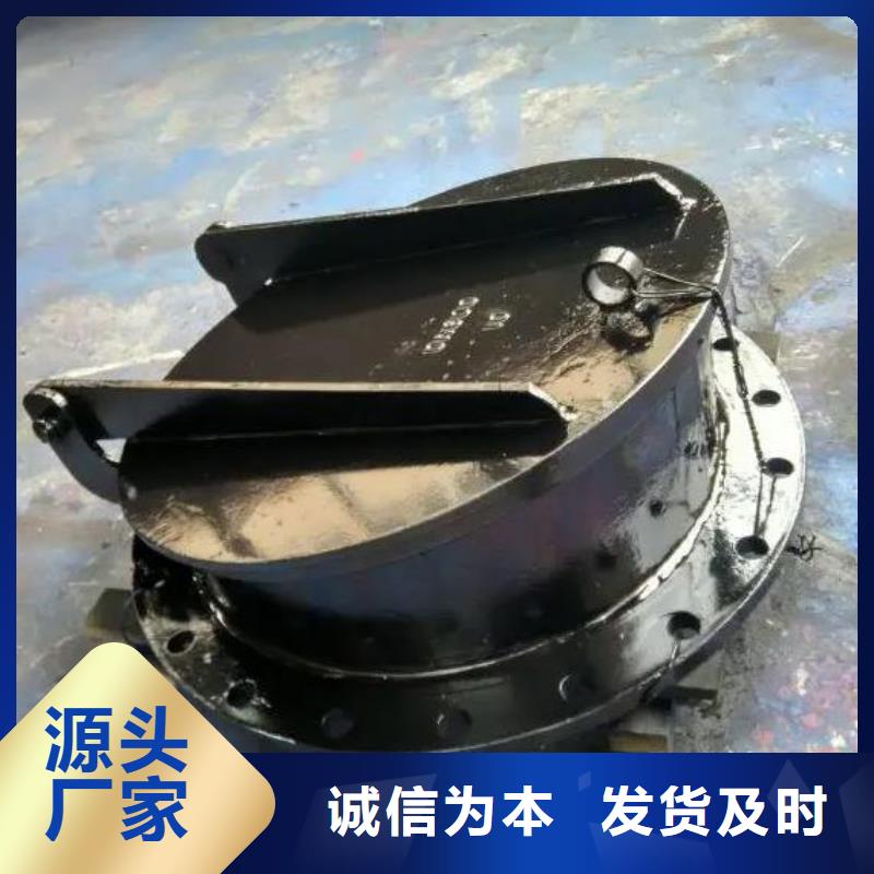 拍门钢制拍门厂家专业生产厂家欢迎来电咨询