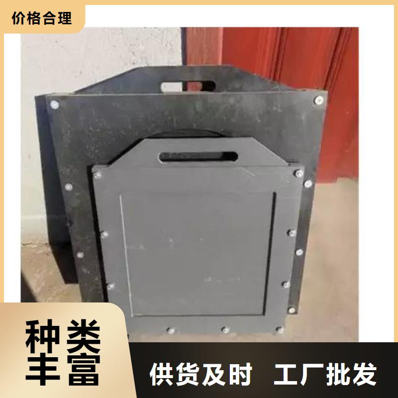 塑料闸门手提铸铁闸门欢迎来厂考察当地货源