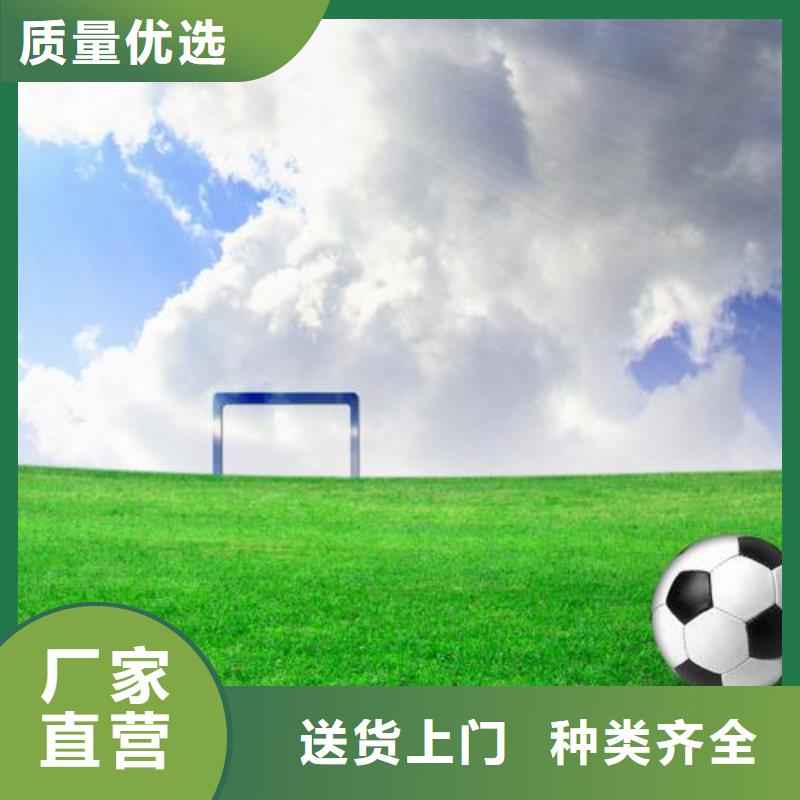 塑胶跑道买的放心安兴用的舒心本地供应商
