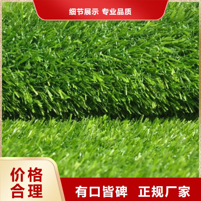 塑胶跑道-硅PU球场厂家丰富的行业经验做工细致