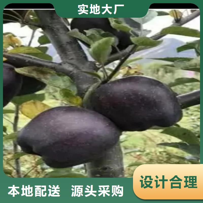 ​苹果石榴树您想要的我们都有源头厂家经验丰富