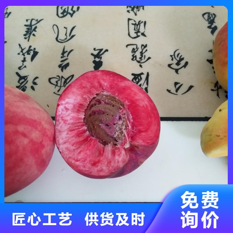 桃西瓜苗优质原料源头工厂