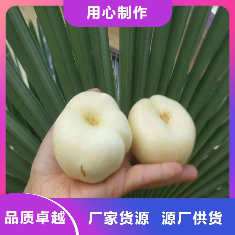 桃石榴树材质实在同城制造商
