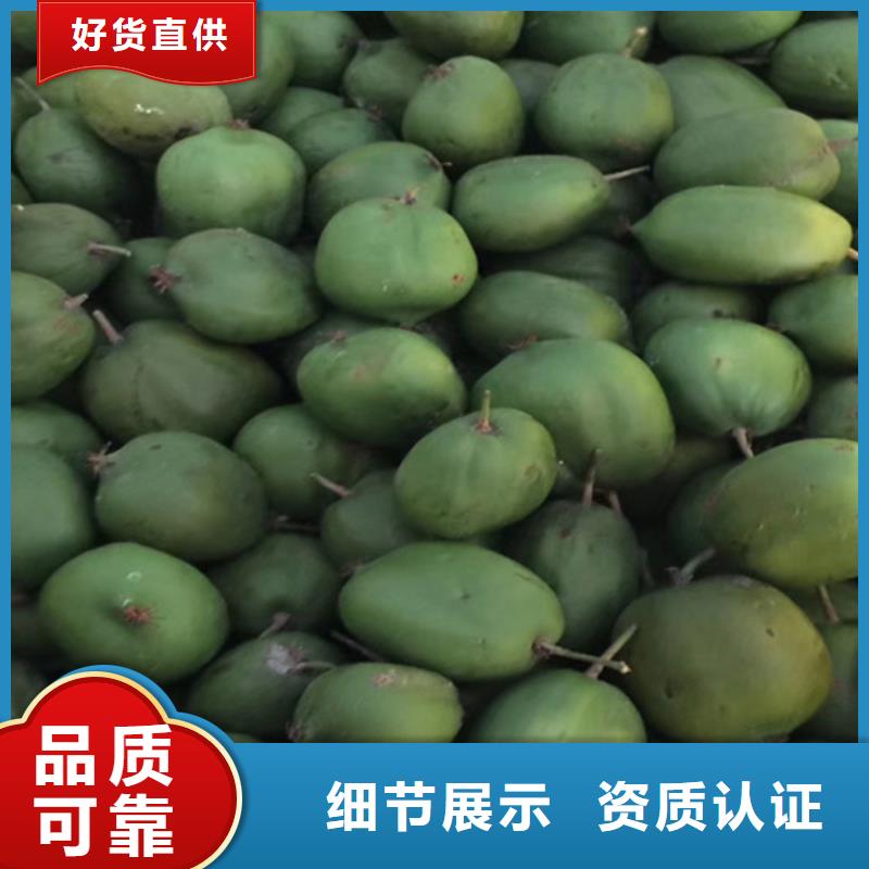 猕猴桃黄瓜苗多种规格可选实力公司