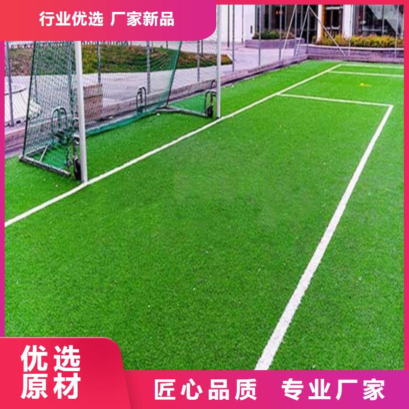 人造草坪塑胶跑道放心得选择定制速度快工期短