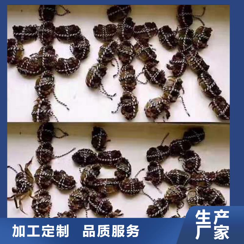 阳澄湖大闸蟹哪家正宗保亭县质量层层把关