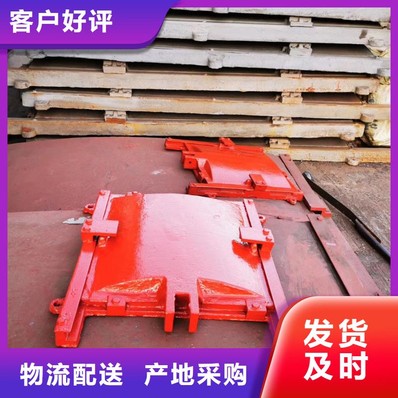 手动铸铁闸门-产品规格齐全本地生产商
