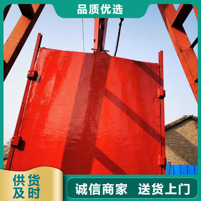 平面拱形闸门-p型止水带闸门水封自动化同城供应商