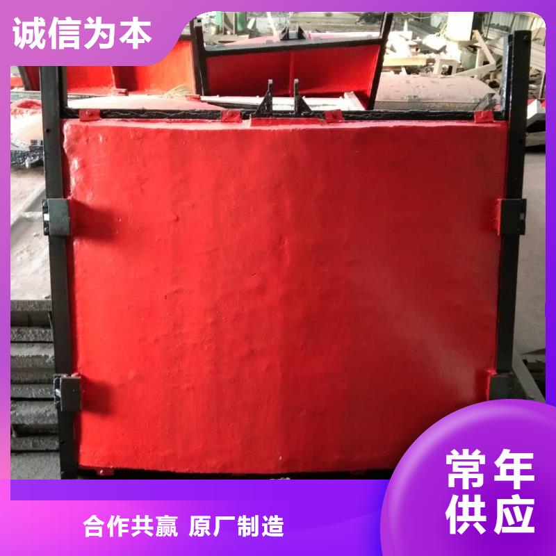 铸铁镶铜闸门-螺杆式闸门启闭机快速响应同城服务商