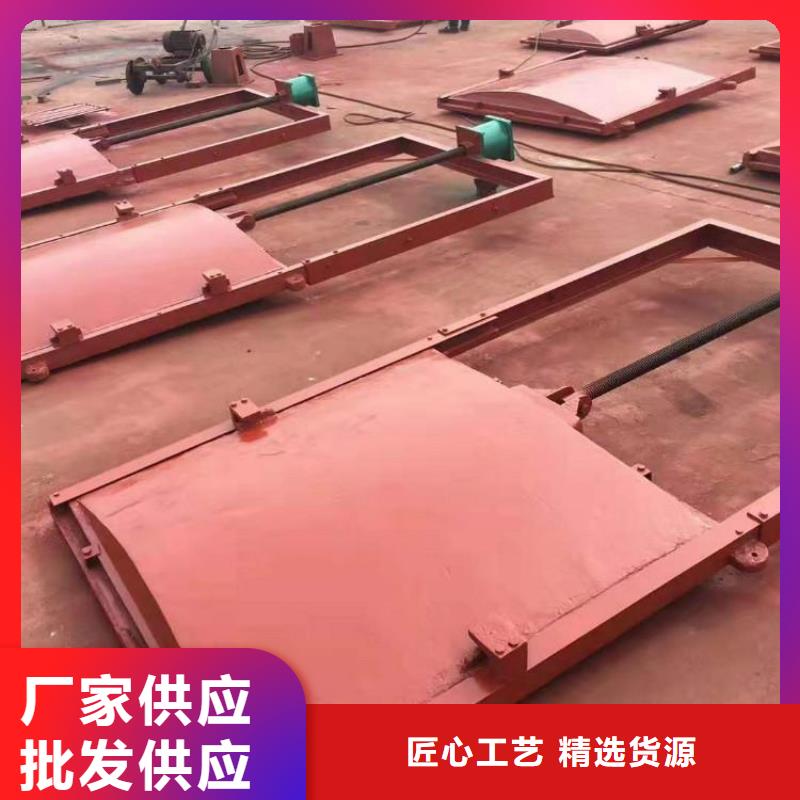 铸铁闸门-墙式镶铜铸铁闸门值得信赖当地生产商
