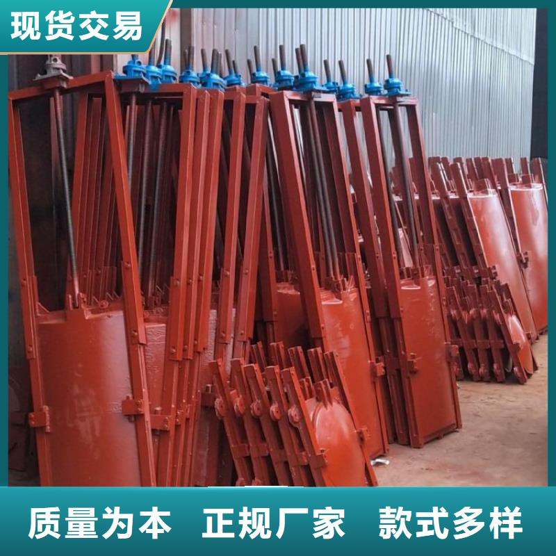PZM型铸铁闸门厂家同城服务商