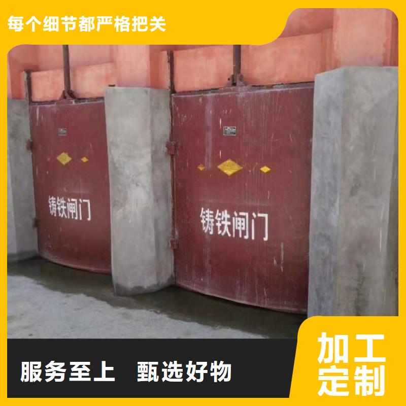铸铁镶铜闸门-水利闸门启闭机精益求精当地公司