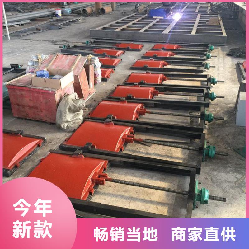 双向铸铁镶铜闸门规格齐全实力厂家