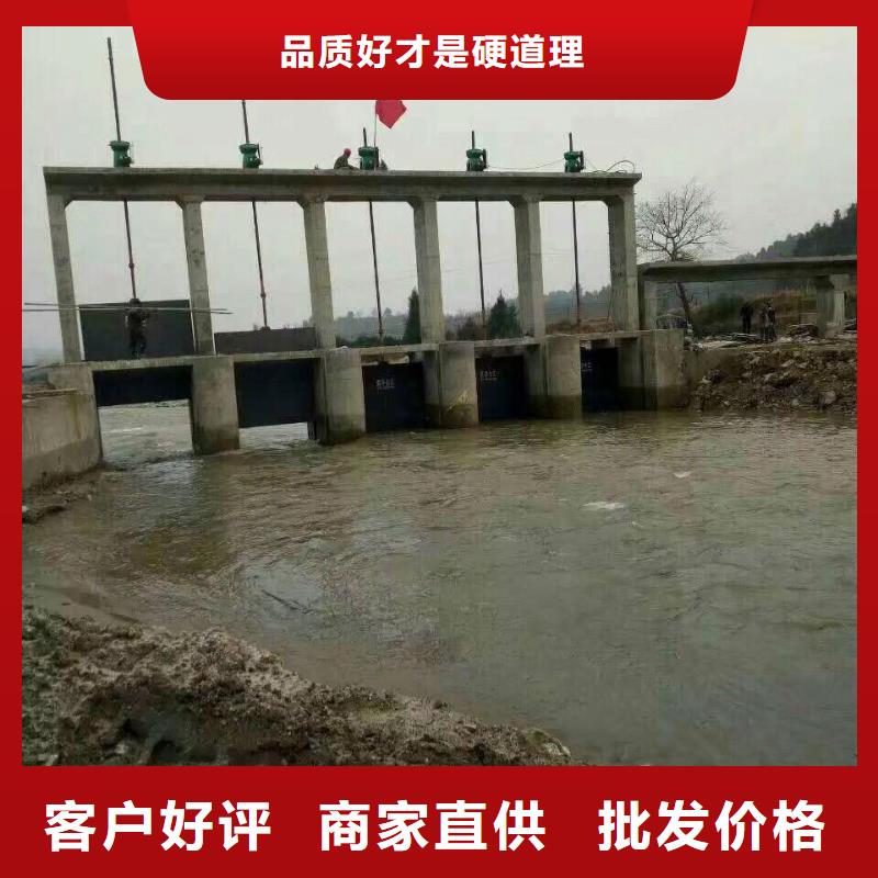 镶铜铸铁闸门[厂家销售]厂家案例
