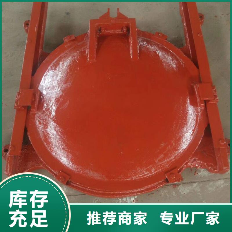 启闭机闸门-闸门启闭器终身维护专业的生产厂家