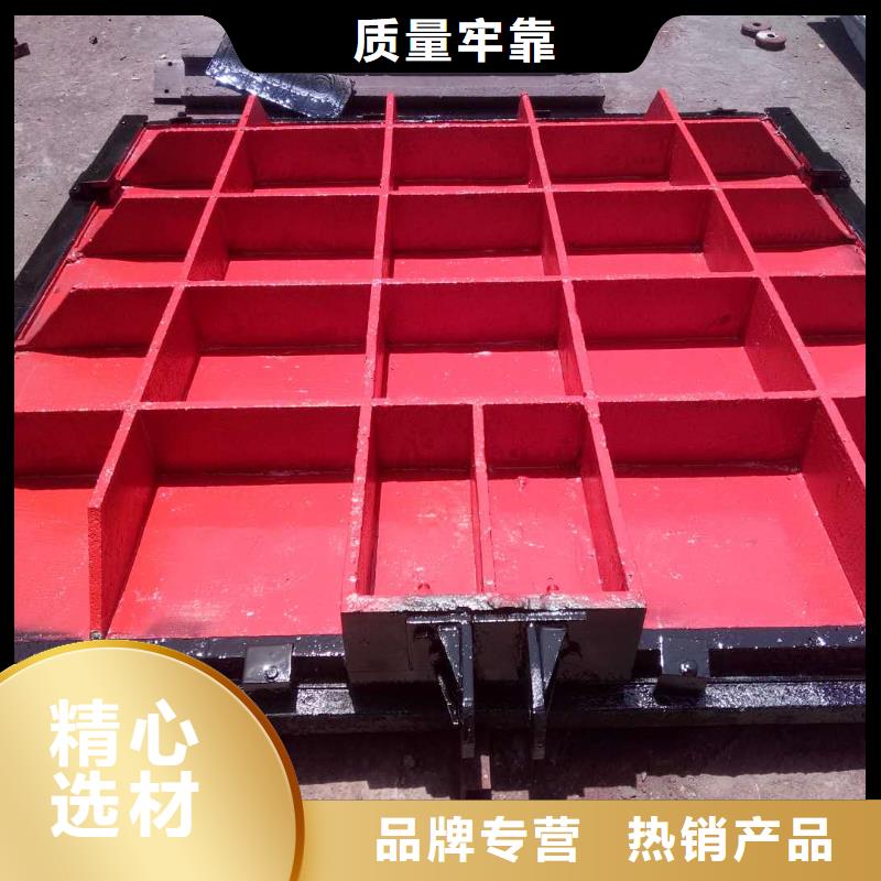 启闭机闸门-平面闸门带直联启闭机高品质诚信商家
