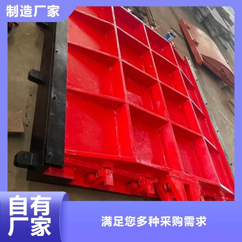 河道铸铁闸门-水利闸门启闭机智能当地品牌