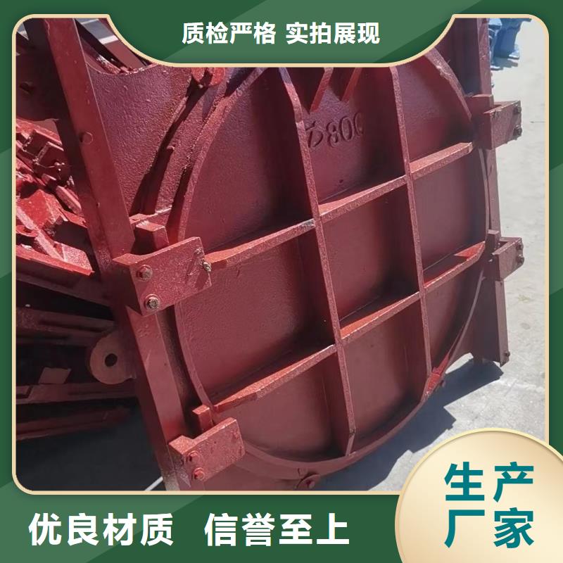 启闭机闸门-铸铁镶铜附壁闸门智能发货迅速