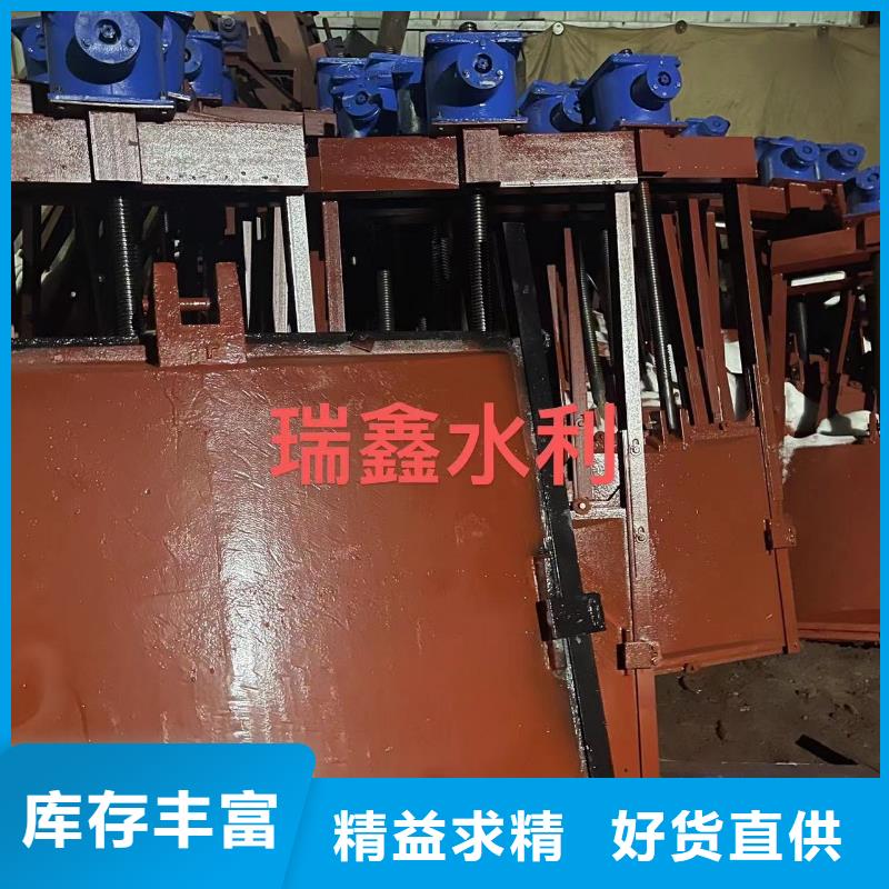 铸铁镶铜闸门-螺杆式闸门启闭机定制化当地服务商