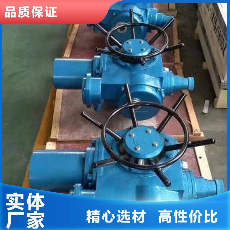 启闭机闸门Z30电动装置助力绿色水利建设客户满意度高