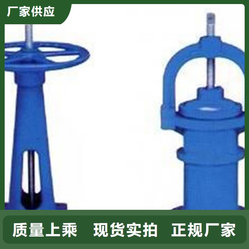 卷扬启闭机水利启闭机品质保障货源稳定
