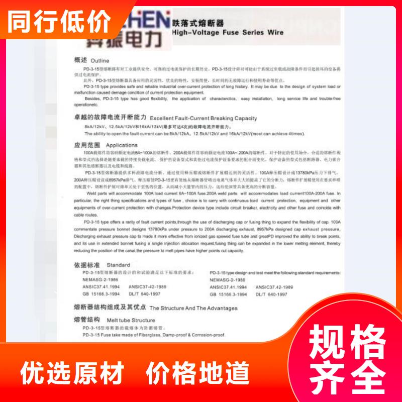 熔断器,智能断路器不断创新本地制造商