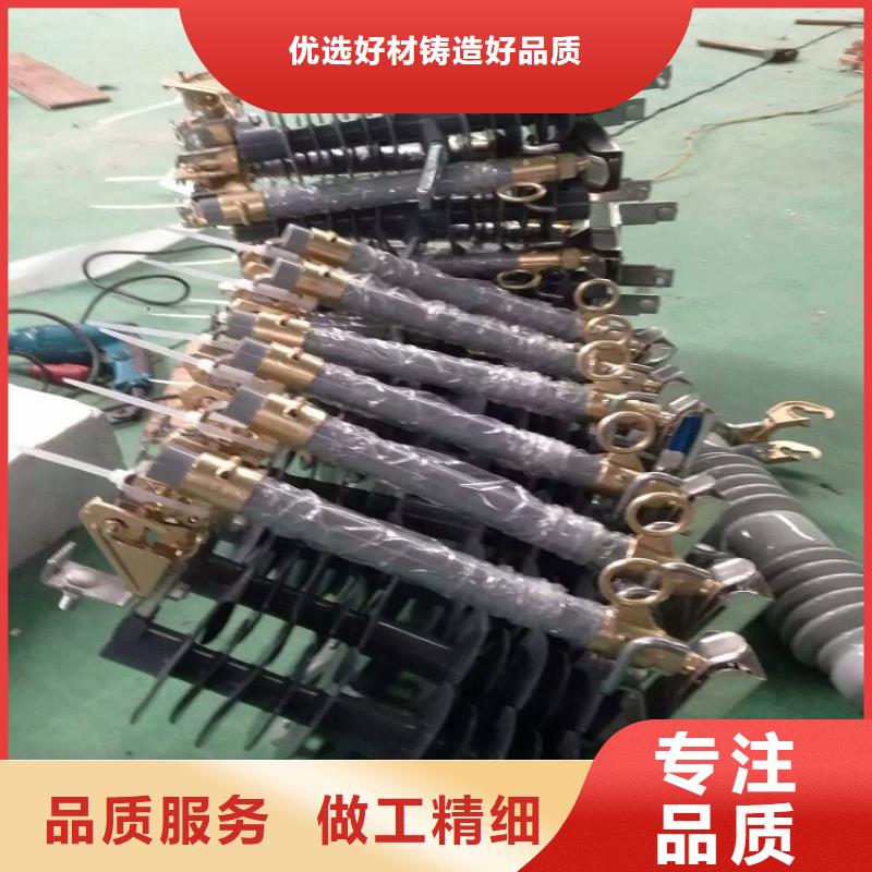 熔断器,金属氧化物避雷器N年专注敢与同行比服务