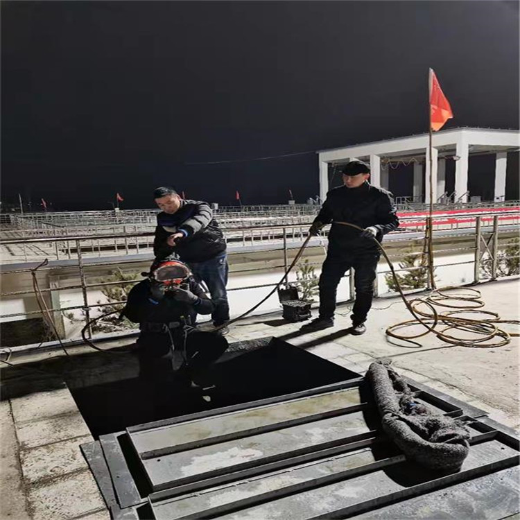 玉溪市水下拆除打捞公司-水下施工队本地经销商
