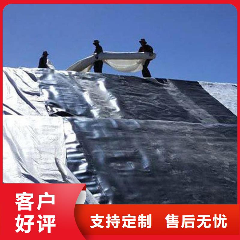 土工膜防水膜同行低价库存充足