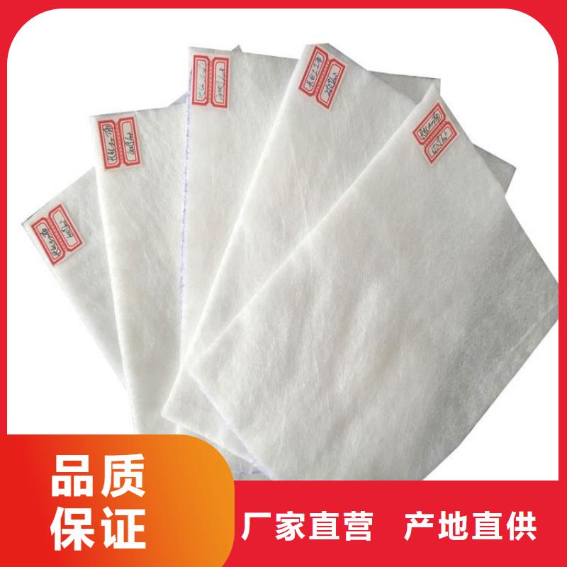 土工布-防渗土工膜现货实拍本地服务商